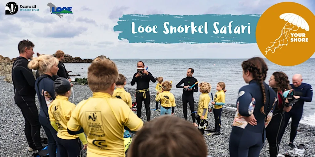 National Marine Week: Looe Snorkel Safari at Hannafore Beach