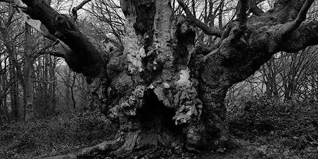 The Witch Finder General Essex Interactive Ghost Walk With Haunting Nights