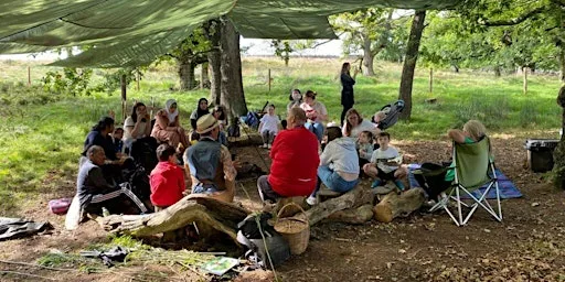 Forest Family Fun