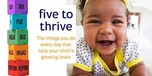 Five to Thrive New Baby Course (4 weeks from 10.08.26) Hayling Island - DM