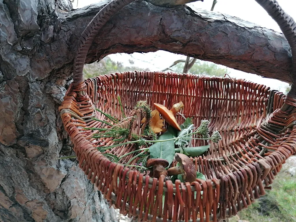 Foraging event in Merkinch LNR, Part of Highland & Islands Climate Festival at Merkinch Local Nature Reserve
