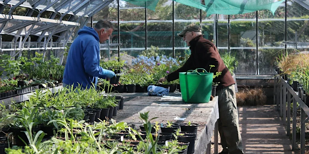 Garden Nursery Volunteering at St Andrews Botanic Garden