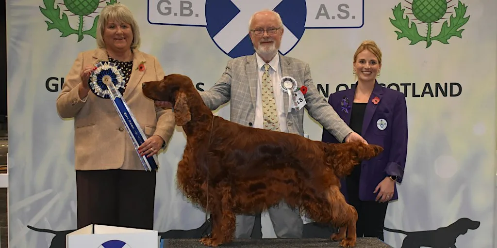 Gundog Breeds Association of Scotland - Championship Show 2026 at Scottish Event Campus