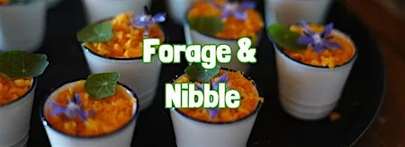 FORAGE & NIBBLE in Whistable (Kent) at Clowes Wood Car Park