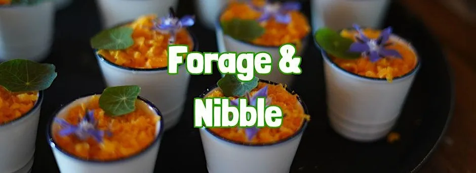 FORAGE & NIBBLE in Duddon Valley (Cumbria) at Birks Bridge car park