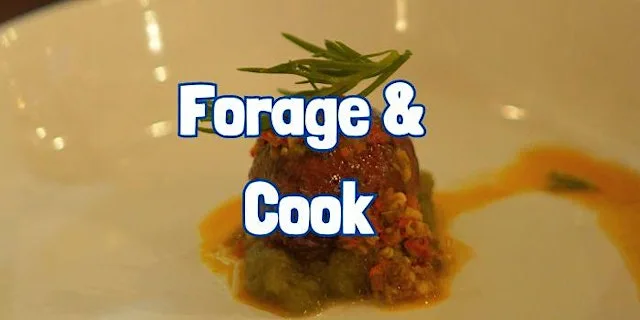 FORAGE & COOK (Half Day) near Keswick (Cumbria) at Bassenthwaite Lake Station
