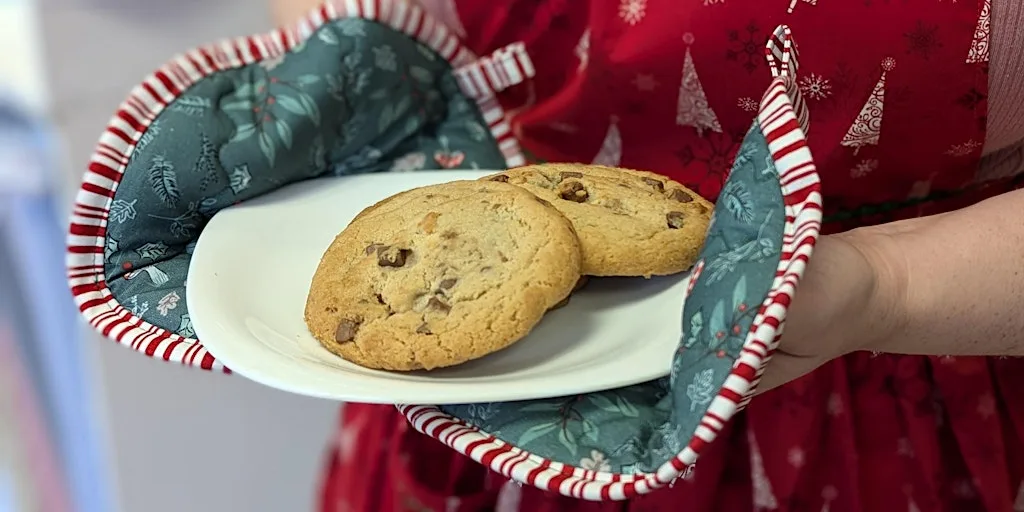 Sewing Skills - Christmas Oven Glove Mitts at Franklins