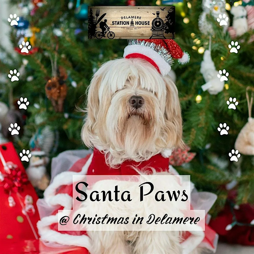 Santa Paws in Delamere Forest at Delamere Station House