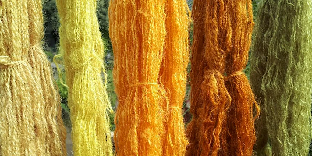 Natural Dyes Workshop at Memorial Hall