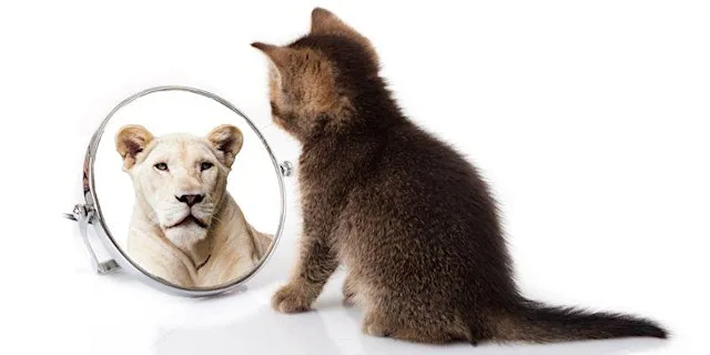 Assertiveness Skills