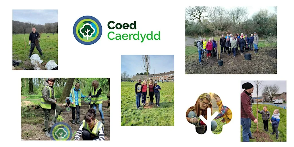 Tree planting - Celtic Park, Whitchurch and Tongwynlais