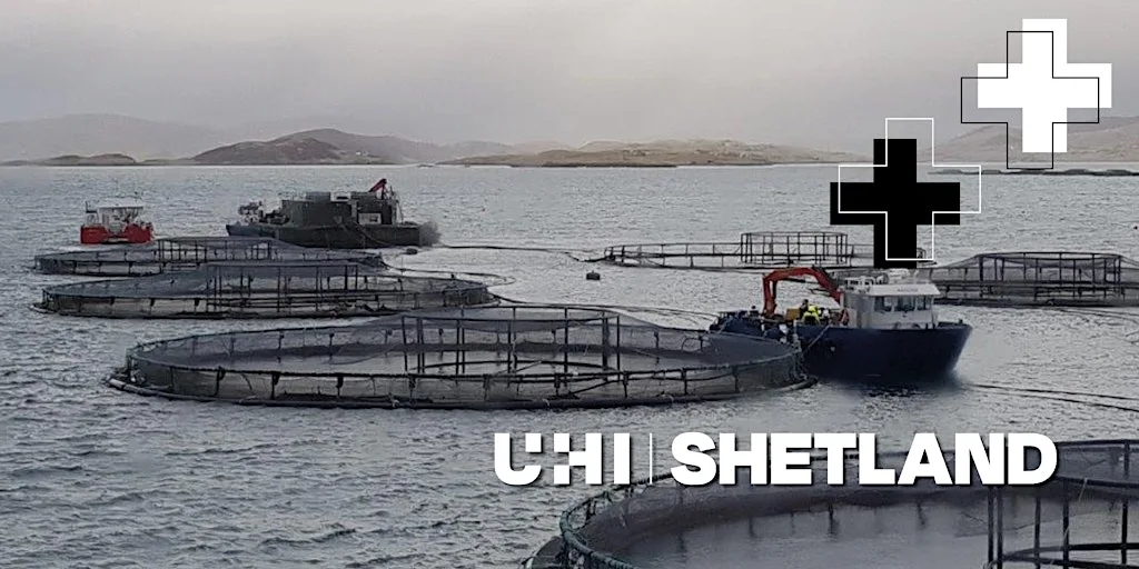 Fish Vaccination - Online Course at Port Arthur