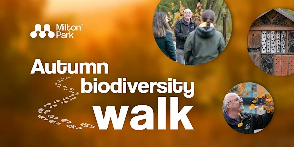 Milton Park Biodiversity Networking Walk Autumn