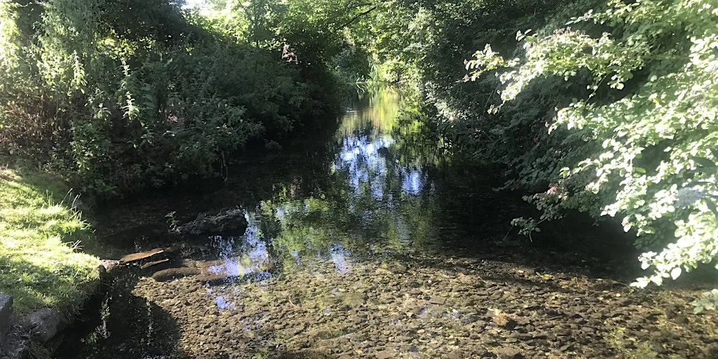 Green Thursday Hughenden Quarter Pride of Place River Clean