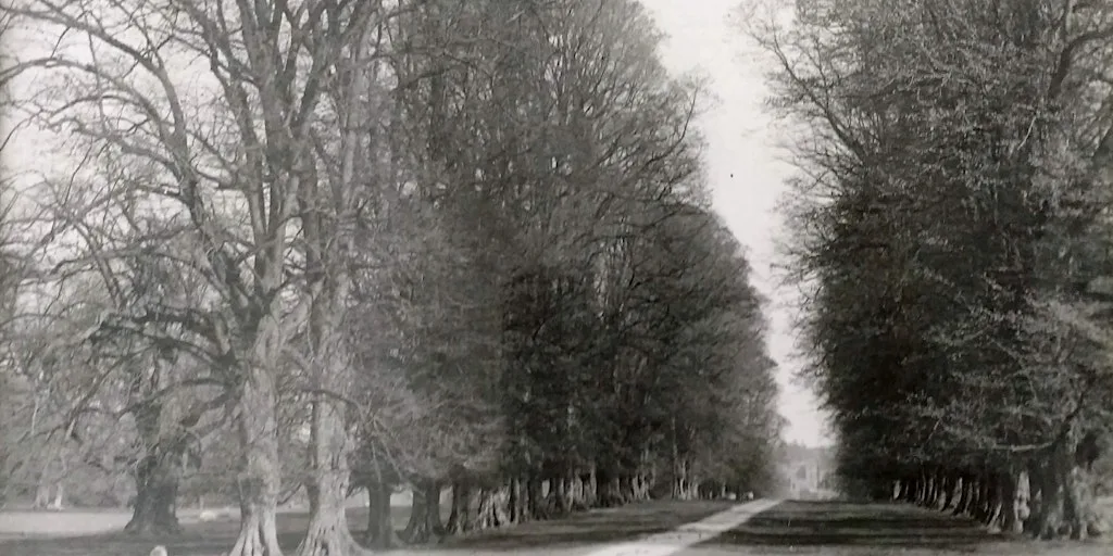 Cassiobury Park, Watford - Heritage Walk in Sept at Cassiobury park