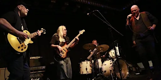 Live Rock Music at the Scottish Seabird Centre