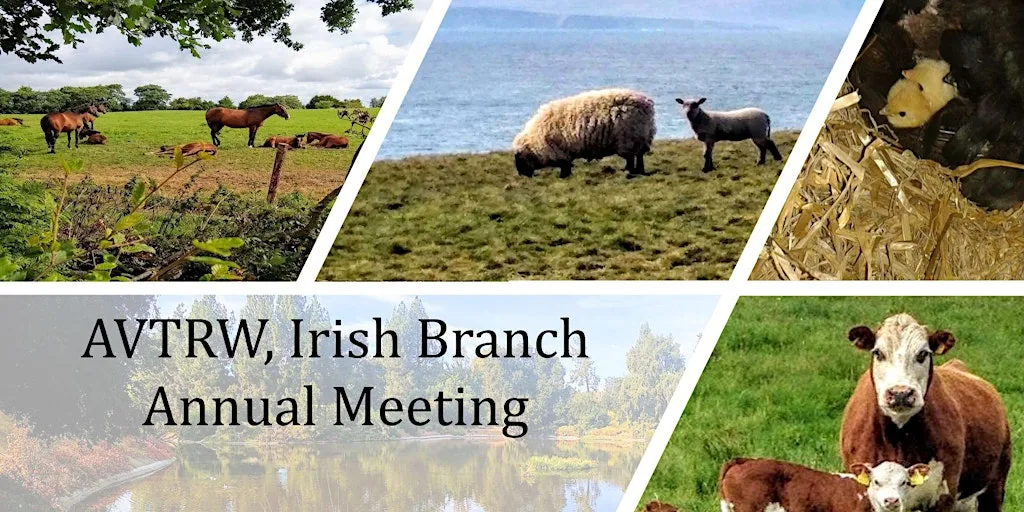 AVTRW, Irish Branch Annual meeting
