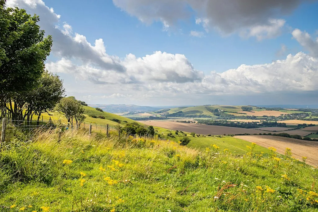 Archaeology Walk, Firle Beacon
