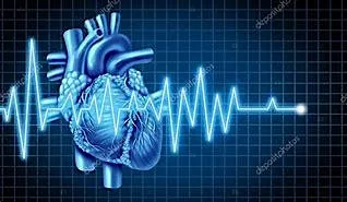 Advanced ECG masterclass at STRIVE Academic Centre