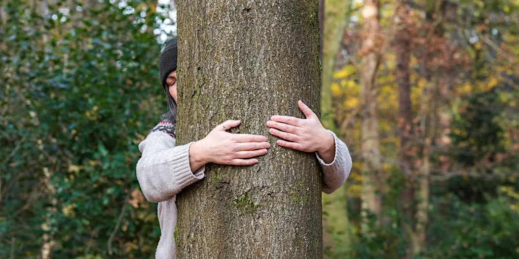 The Scottish Tree Hugging Tournament 2026 at Dams to Darnley Country Park