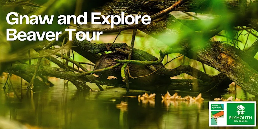 Poole Farm: Gnaw and Explore Beaver Tour at Poole Farm