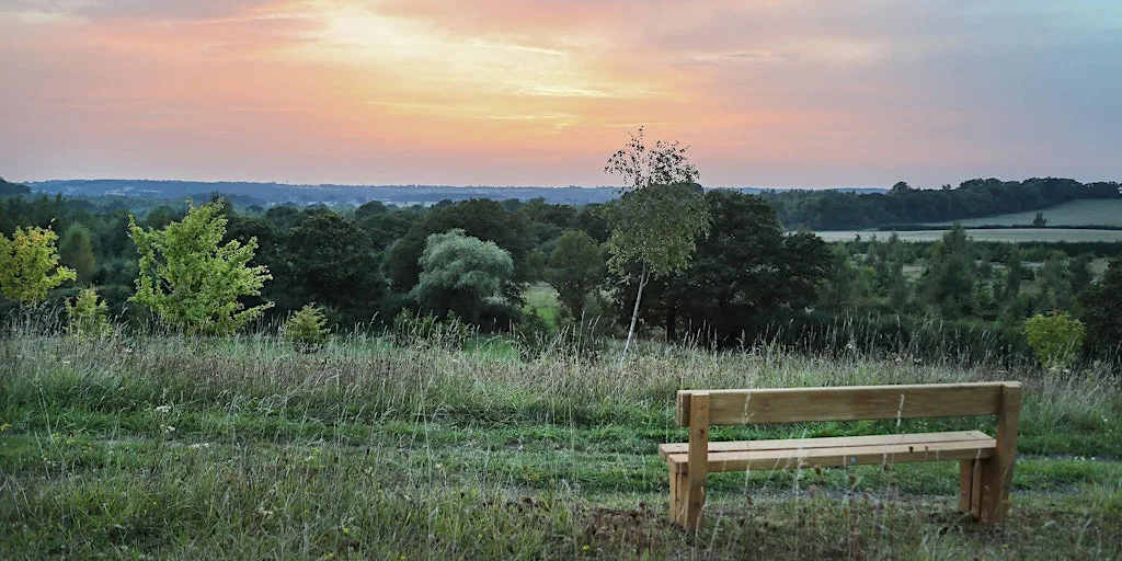 Natural Burial: Sustaining Earth and Honouring Life - Guided Walk at Alne Wood Park Natural Burial Ground