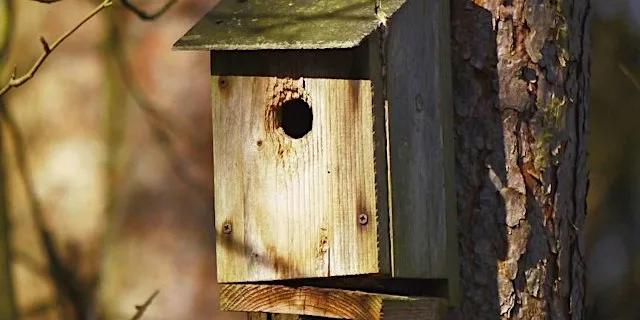 Family bird box building at Ryton Pools Country Park