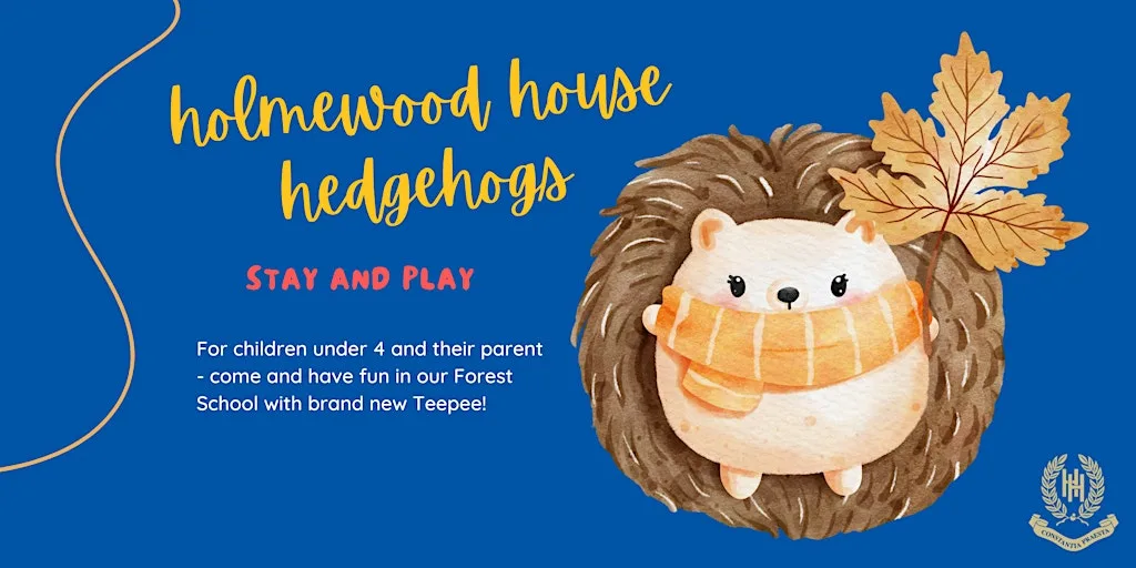 Holmewood Hedgehogs, Stay-and-Play at Holmewood House School (entry via Barrow Lane, not Hither Chantlers. One way system in operation)