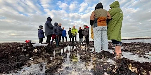 Seaweed & Their Secrets - Botany Bay, Broadstairs 2026