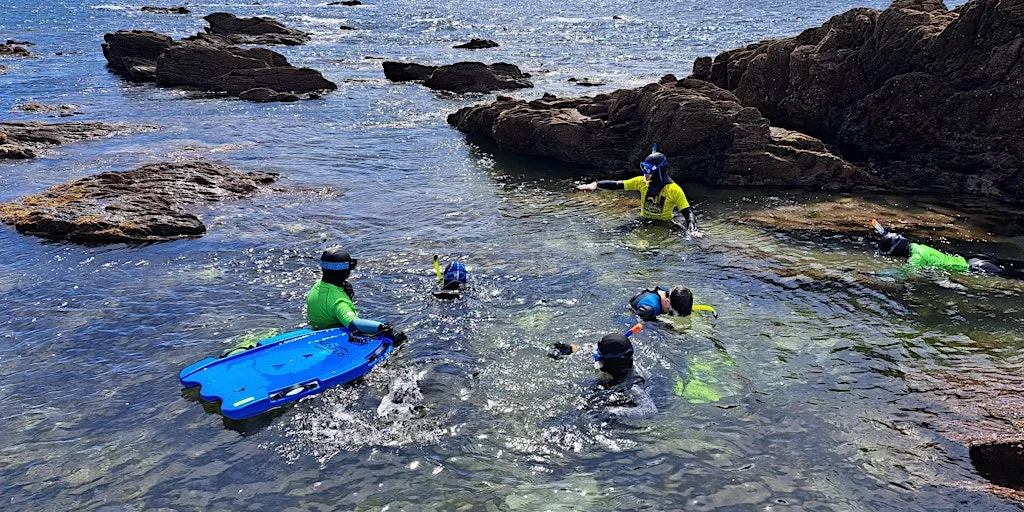 Adult Snorkel Safari at Wembury Marine Centre