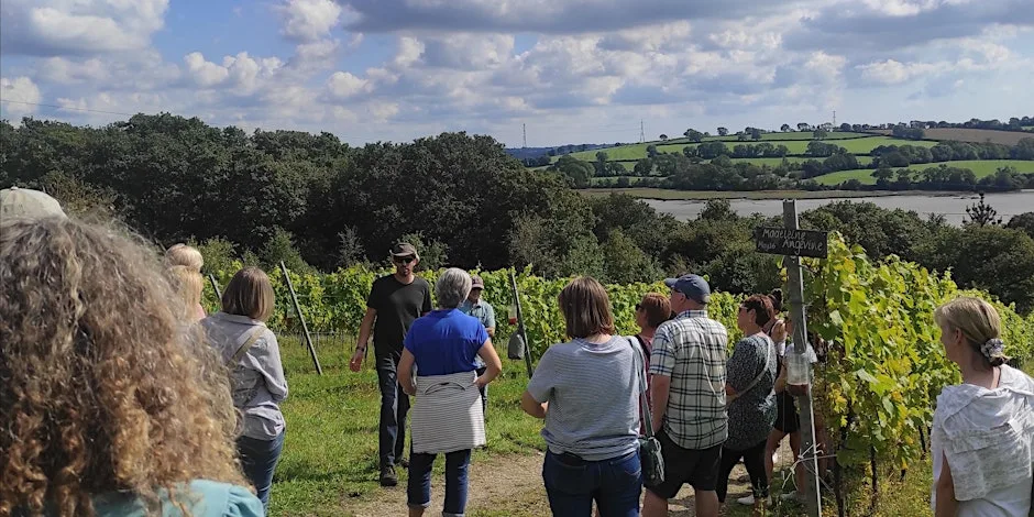Tamar Valley Vineyard Guided Tour