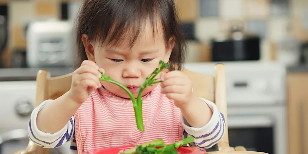 Introduction to Solid Foods Workshop, 10:00 - 11:30, 29/10/2026