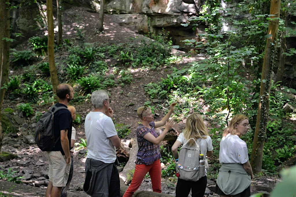 Frome Valley Geology Walk at Snuff Mills Car Park
