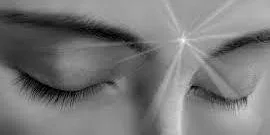 Introduction to Transmission Meditation - Edinburgh workshops 2026
