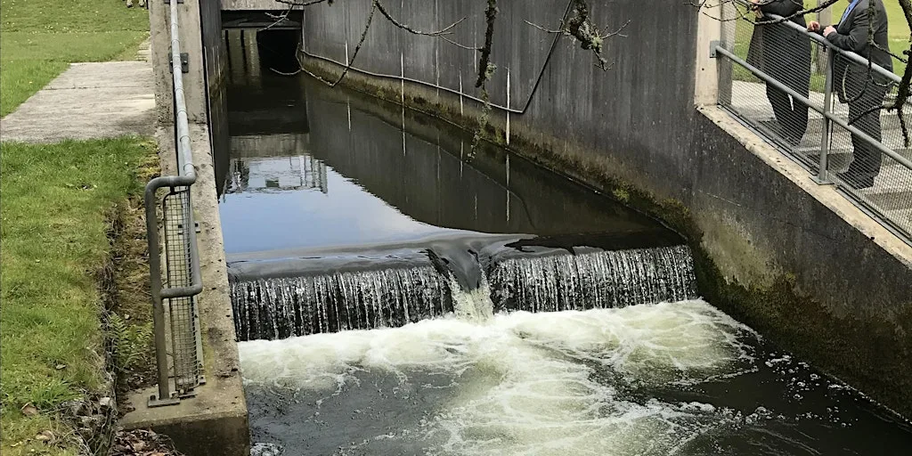 Climate Capability Walk & Talk - Truro River at Boscawen Park