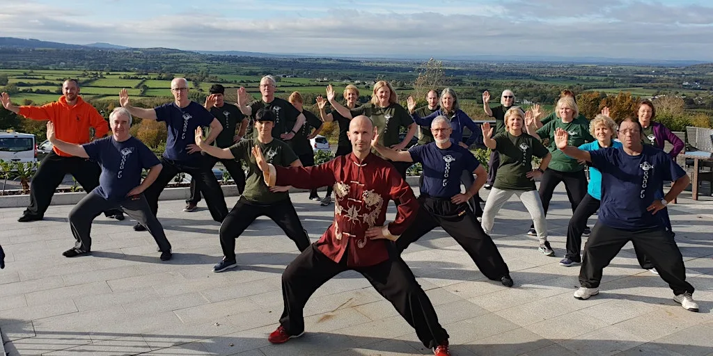 TAI CHI - TALK/DEMO at Kilkenny School Project