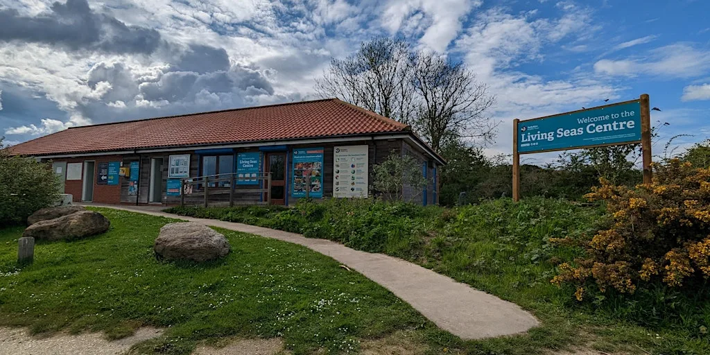Ocean Explorers at Living Seas Centre