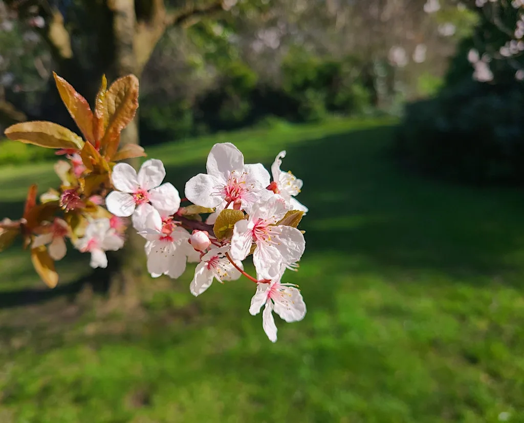 Spring Bank Holiday Events 2026 in Edinburgh — Your Weekend Guide