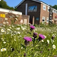Wednesday Evening Urban Wildlife at High Wycombe Almshouses