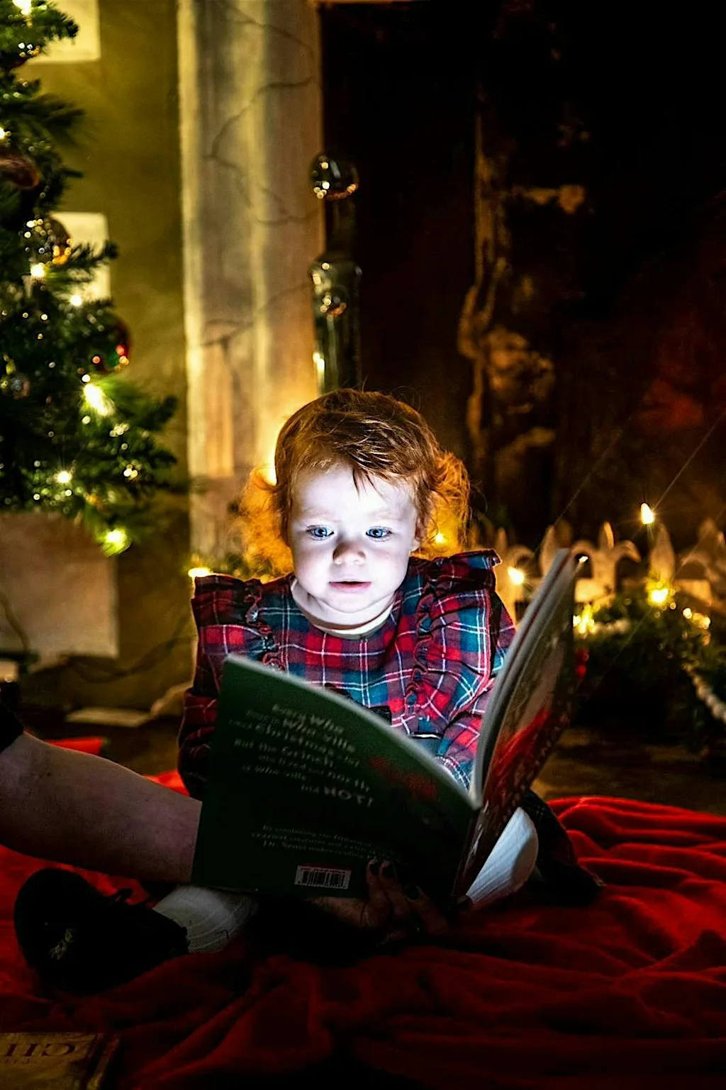 A Public Reading: The Snowman and The Grinch Who Stole Christmas at Gladstone's Land