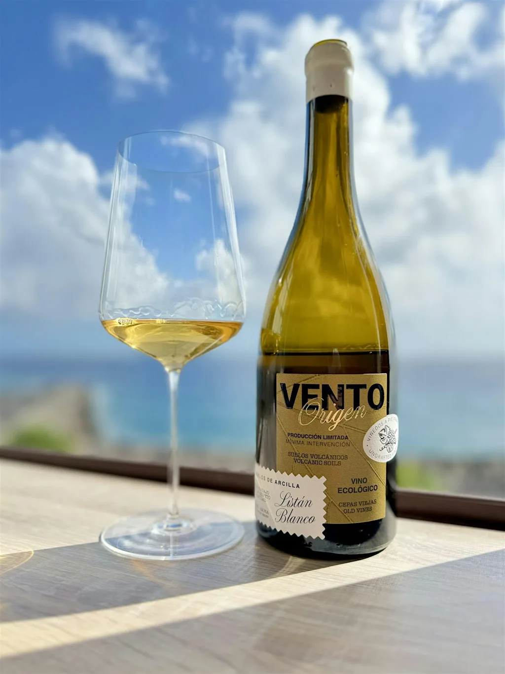 Natural Wines of Tenerife South. Bodega Vento, Damian Diaz. Wine Tasting at Cathedral Cafe