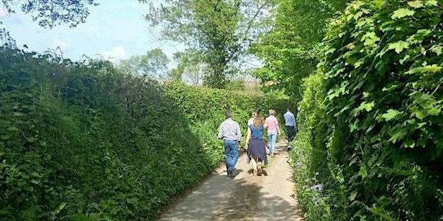 West Cornwall Netwalking at Tehidy Woods