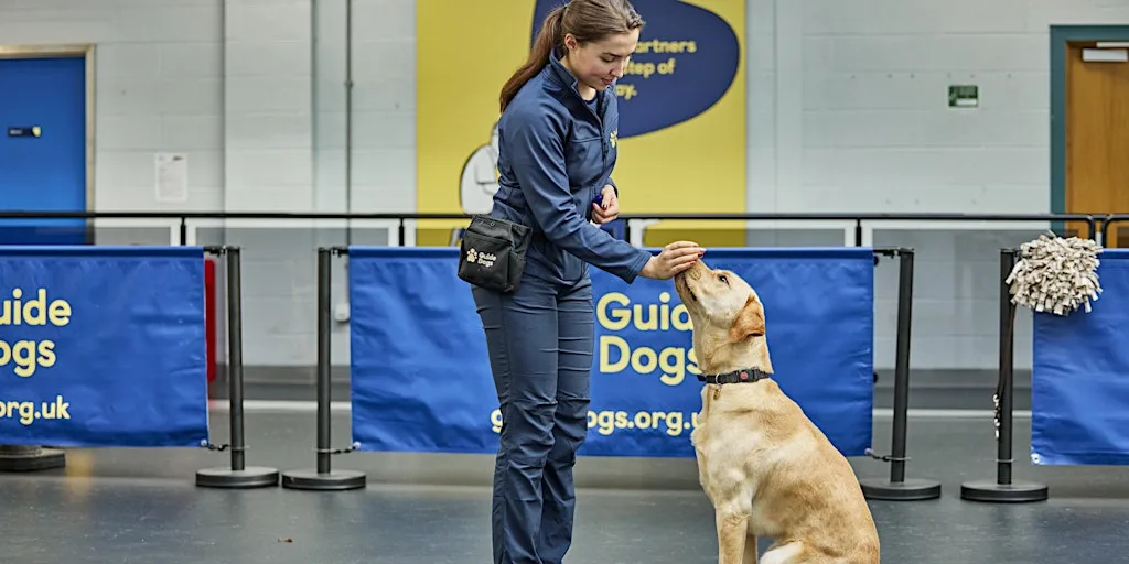 Guide Dogs - Classic Experience - Atherton (2026) at Guide Dogs Manchester Community Team