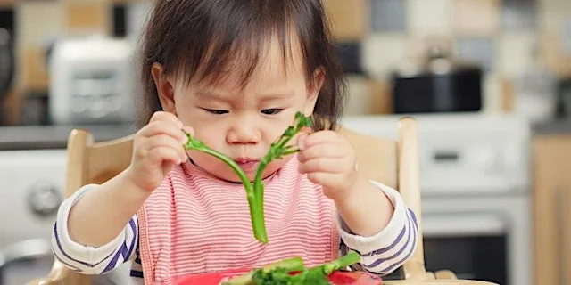 Introduction to Solid Foods Workshop, 22/12/2026 at Oughton Family Centre