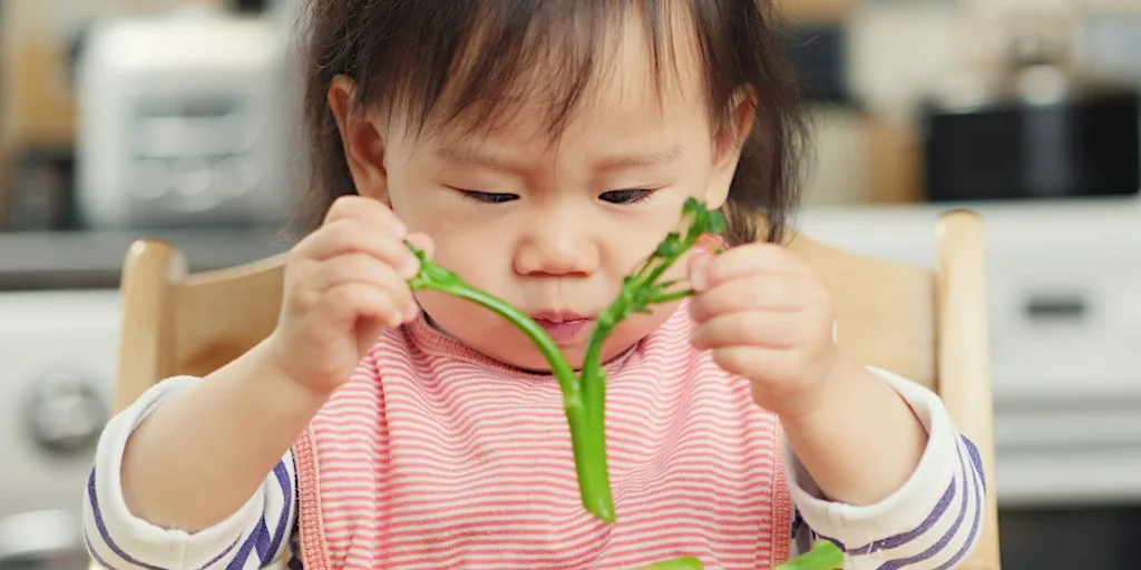 Introduction to Solid Foods Workshop, 09:30 - 11:00, 19/10/2026 at Bridge Road Children's Centre