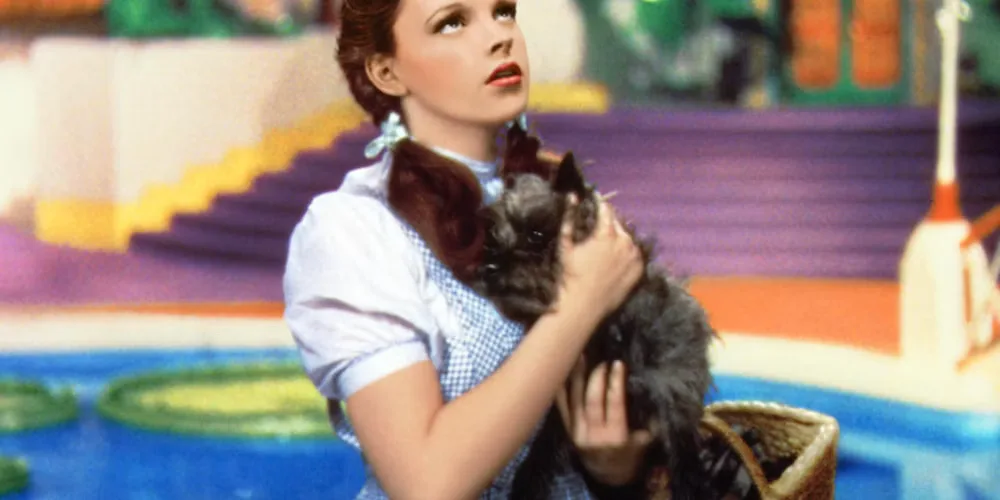 Take2: The Wizard of Oz at Glasgow Film Theatre