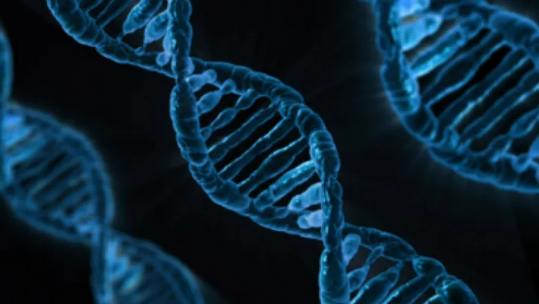 ARK Special Seminar - Translational Longevity