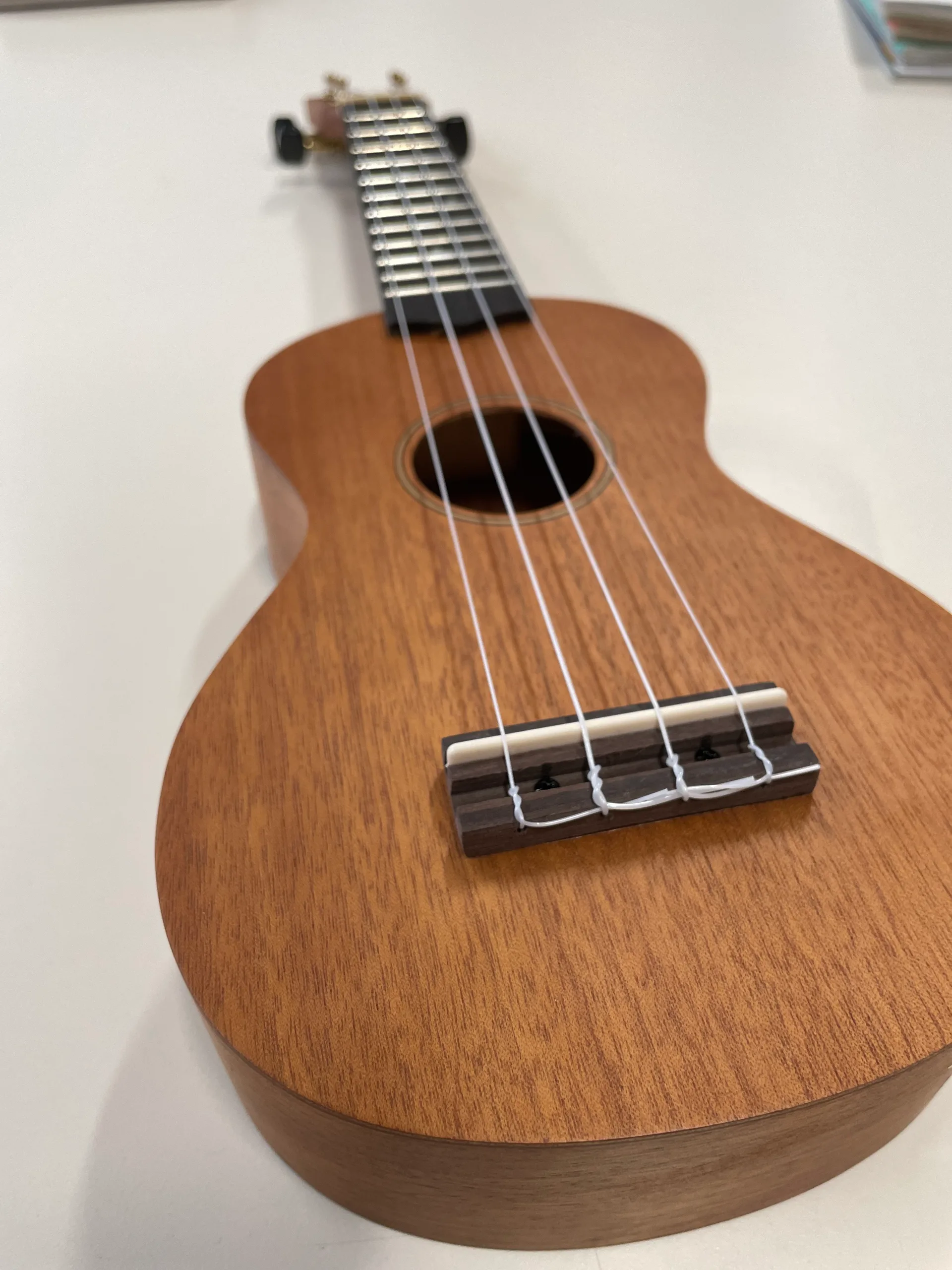 Ukulele classes in partnership with Vera Media