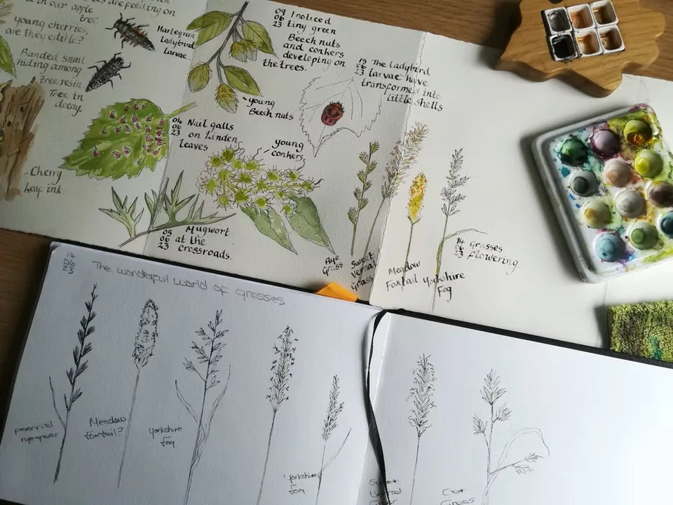 Nature Diary Workshop at Lotherton