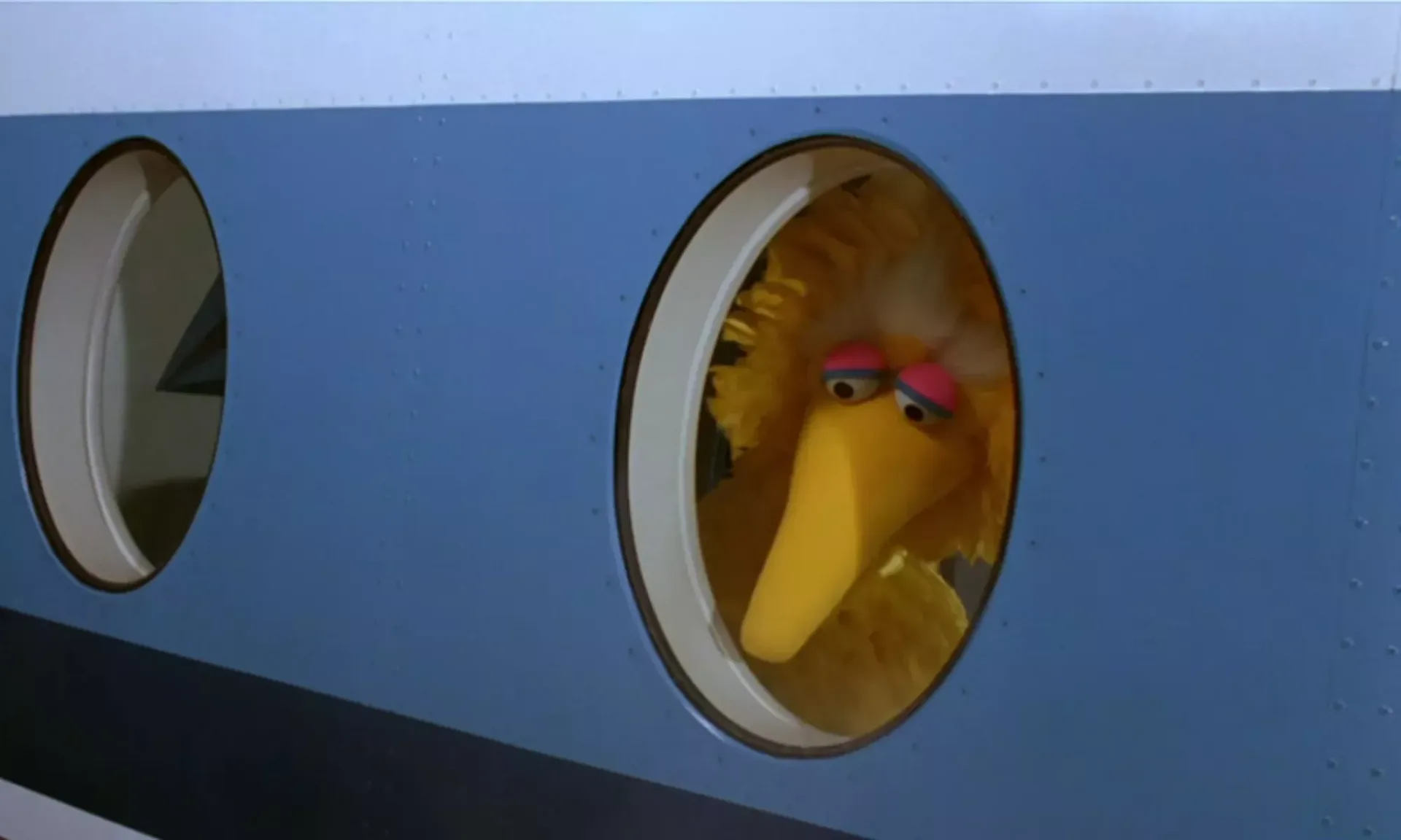 Hyde And Seek: Follow That Bird (U) Toddler Screening at Hyde Park Picture House